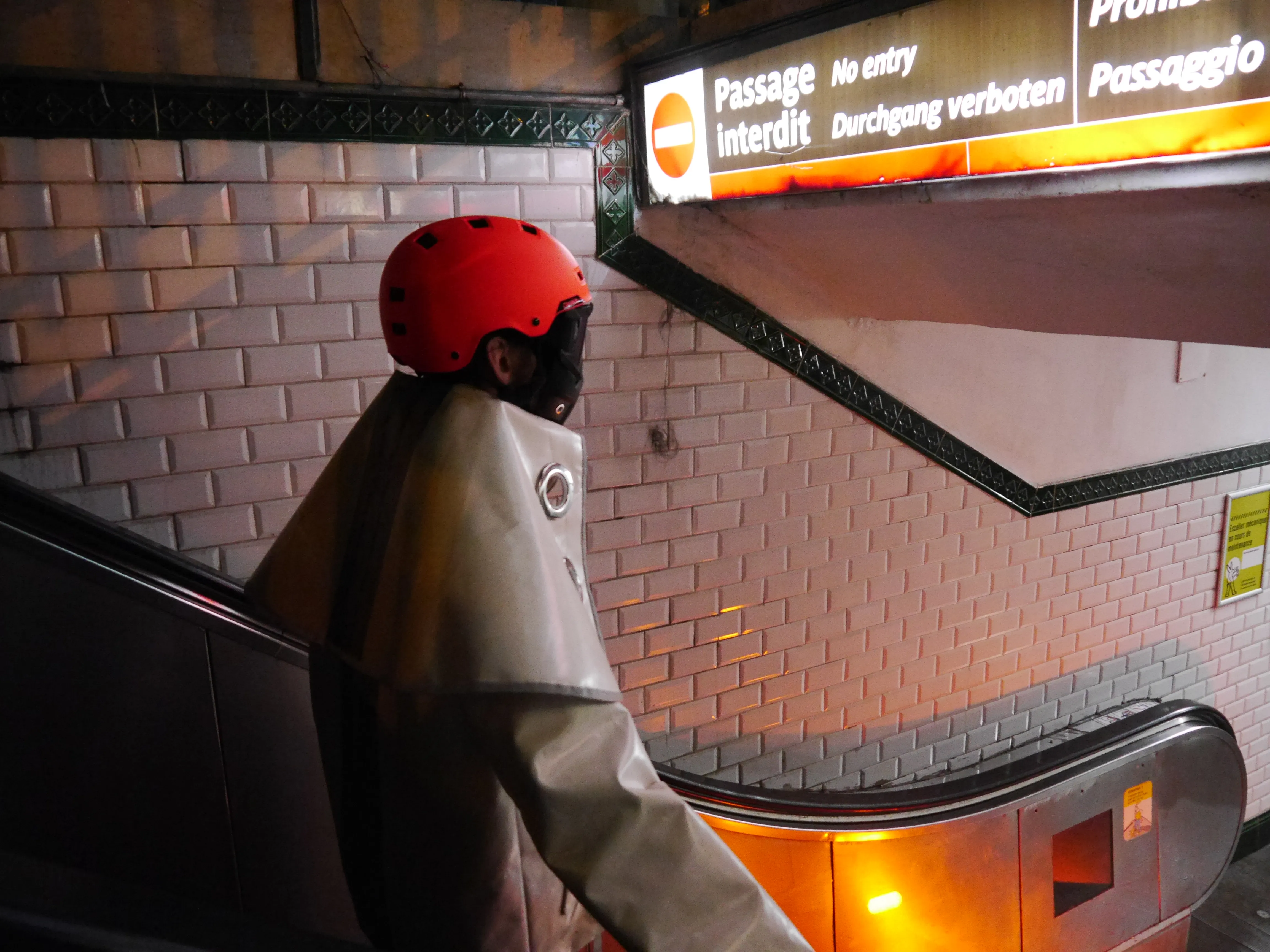 dopecollarifidosaysomyself 21